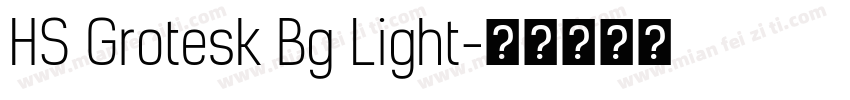 HS Grotesk Bg Light字体转换